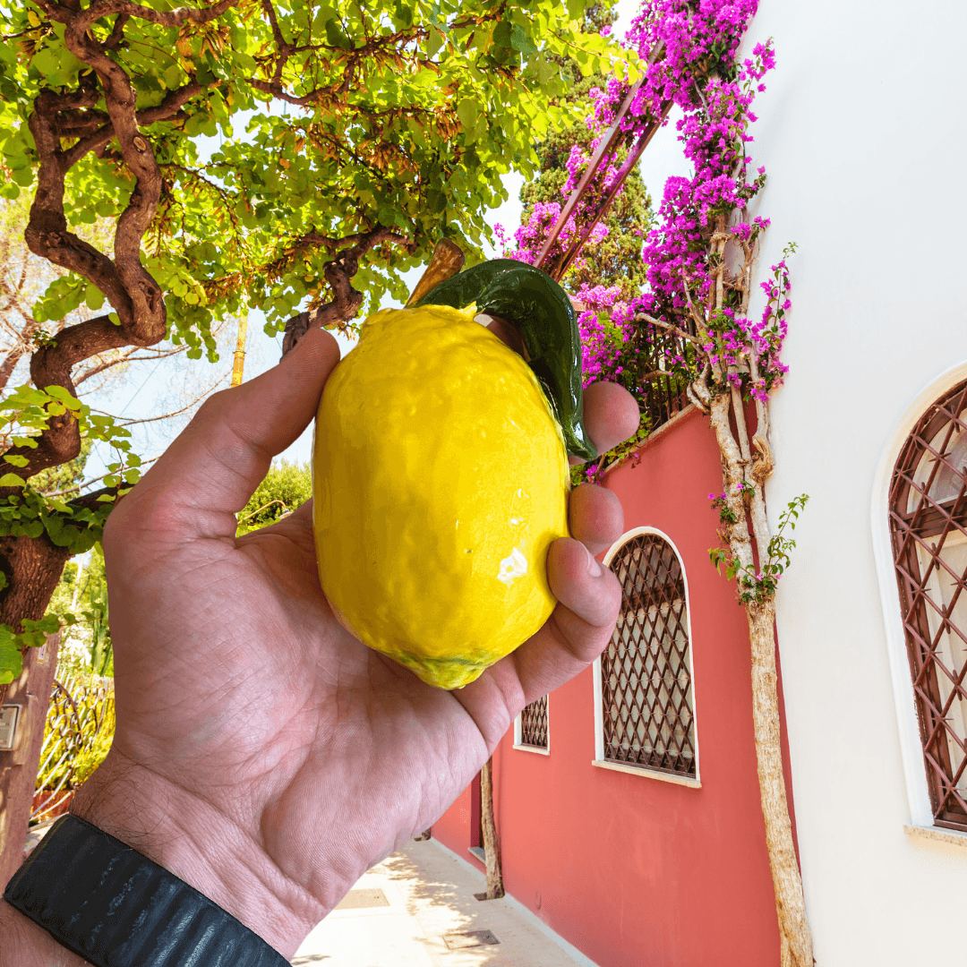 Amalfi Ceramic Lemon